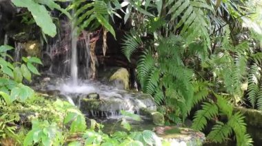 Dere ve stok görüntüleriyle dinlenme tesisinde tropik yeşil bahçe rahatlaması