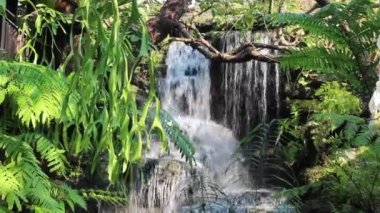 Waterfall flowing to creek in tropical garden, stock footage