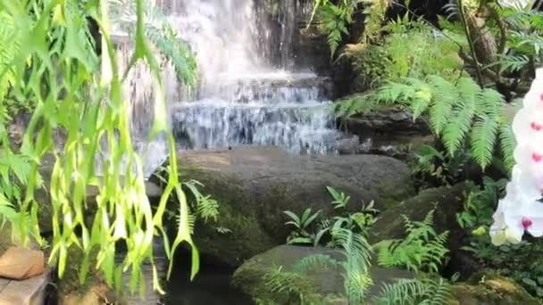 Waterfall Flowing Creek Tropical Garden Stock Footage — 图库视频影像