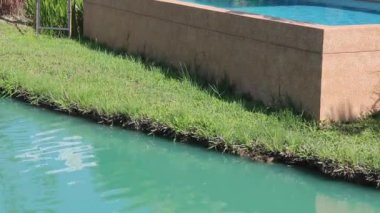 Yazın yerel yeşil alan gevşemesi, stok görüntüleri