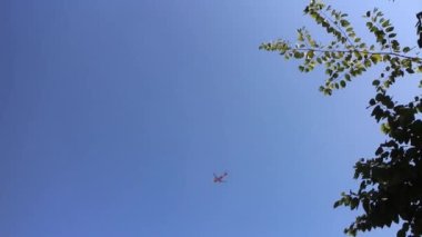 Yazın yerel yeşil alan gevşemesi, stok görüntüleri