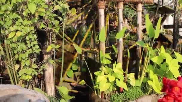 Bamboo Water Wheel Recycle Use Power Stock Footage — Stockvideo