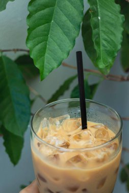 Yeşil bitki bölgesinde buzlu sütlü kahve, stok fotoğrafı.