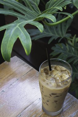 Yeşil bitki bölgesinde buzlu sütlü kahve, stok fotoğrafı.