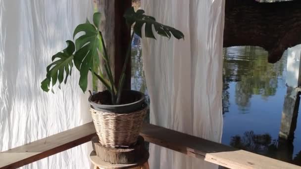Relaxamento Lagoa Água Ambiente Natural Café — Vídeo de Stock