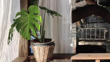 Rahatlama göleti ve doğal çevre kafesi