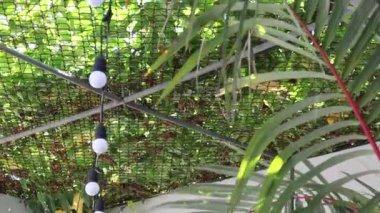 Açık hava bahçe yeşil alan, stok görüntüler