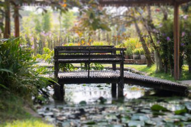 Basit tatil köyü mobilyaları koltuk düzenleme, stok fotoğrafı