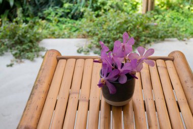 Basit tatil köyü mobilyaları koltuk düzenleme, stok fotoğrafı