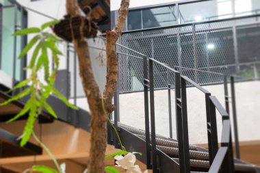 Yeşil yapraklar, fabrikanın içi rahat kahve dükkanı, stok fotoğrafı.