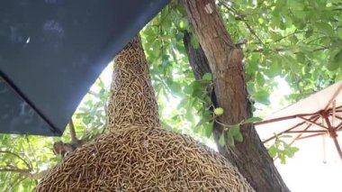 Banliyö kafesinin doğal rahatlığı, stok görüntüleri.