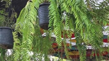 Banliyö kafesinin doğal rahatlığı, stok görüntüleri.