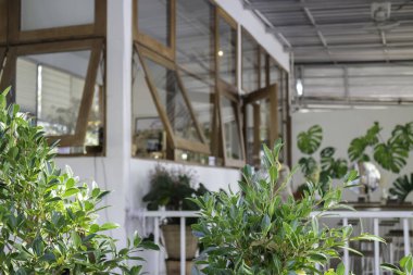 Asgari kahve dükkanında serinledi.