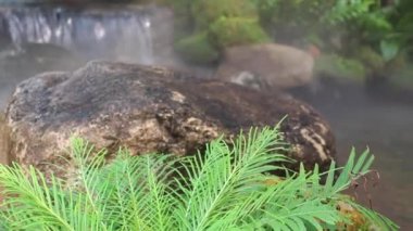 Rahatlama tropikal bahçesinde şelale, stok görüntüleri