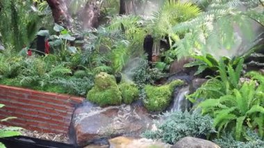 Rahatlama tropikal bahçesinde şelale, stok görüntüleri