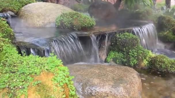 放松热带花园中的瀑布 鱼群镜头 — 图库视频影像