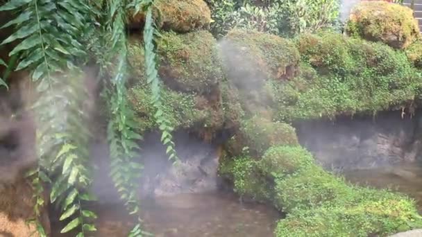 Vízesés Relaxációs Trópusi Kertben Készletfelvétel — Stock videók