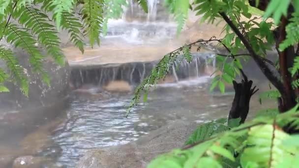 放松热带花园中的瀑布 鱼群镜头 — 图库视频影像