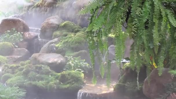 Vodopád Relaxační Tropické Zahradě Záběry — Stock video