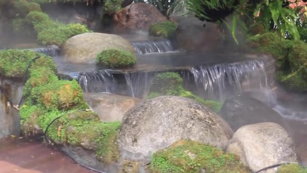 Vodopád Relaxační Tropické Zahradě Záběry — Stock video
