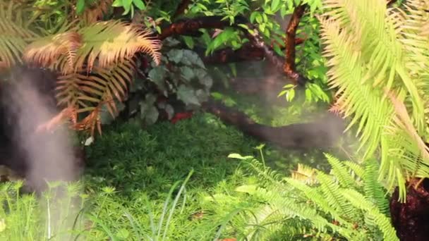 Ontspanning Tropische Tuin Met Stoom Water Stromend Voorraad Beelden — Stockvideo