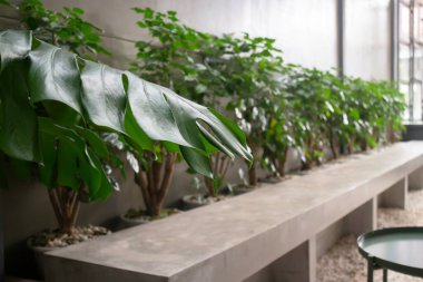 Konforlu ortak çalışma alanı iç tavan arası tarzı, stok fotoğrafı