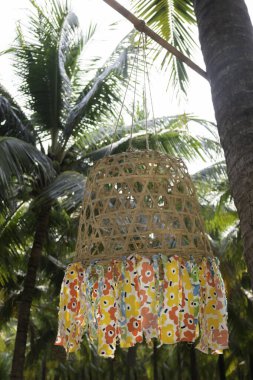 Hindistan cevizi palmiyesinin yaz tarlası, stok fotoğrafı.