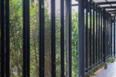 Çeşitli tropikal yağmur ormanları yeşillik bitkileri, stok fotoğrafları