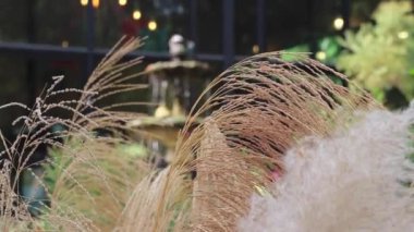 Su çeşmesinin dışı, stok görüntüleri.