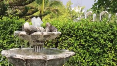 Su çeşmesinin dışı, stok görüntüleri.