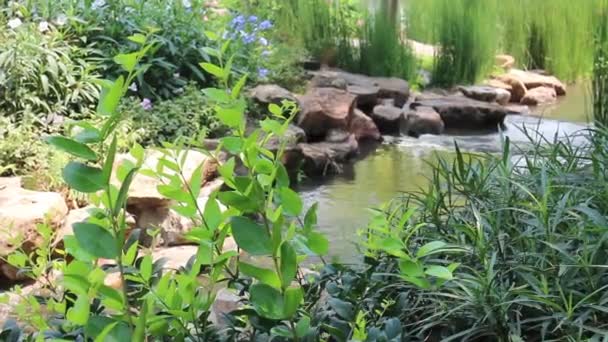 Esterno Esterno Del Torrente Giardino Stock Footage — Video Stock