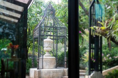 Yeşil yaz bahçesi, dış mekan, stok fotoğrafı.