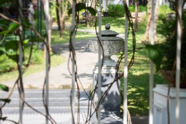 Açık hava bahçesinin yaz yeşili rahatlaması, stok fotoğrafı.