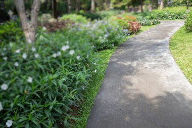 Açık hava bahçesinin yaz yeşili rahatlaması, stok fotoğrafı.