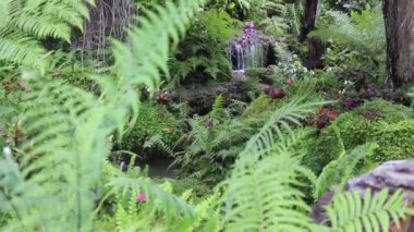Su tropik açık hava bahçesinde akıyor, stok görüntüleri.