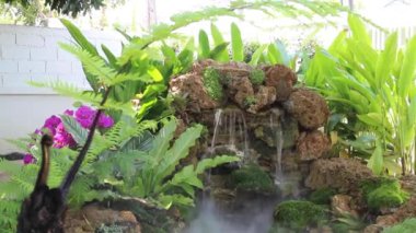 Bahçede yaz şelalesi, stok görüntüleri.