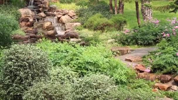 Summer Exterior Waterfall Garden Stock Footage — Stock Video