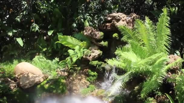 Летний Внешний Водопад Саду Видео Склада — стоковое видео