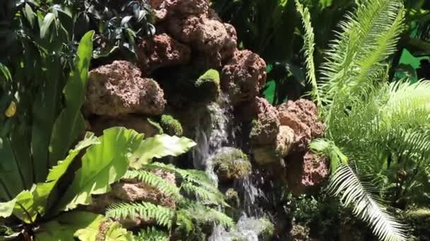 庭の夏の外観の滝 ストック映像 — ストック動画