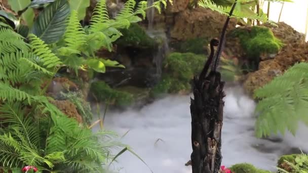 家庭菜園の水蒸気 ストック映像 — ストック動画