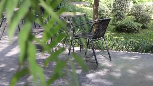 정원에 카페의 좌석을 식히고 야유회 장면을 — 비디오