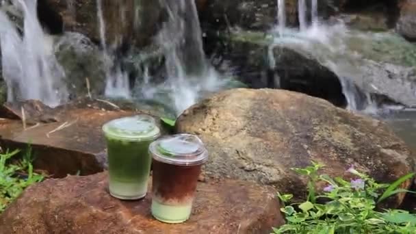 Krim Tanda Tangan Taman Tropis Rekaman Stok — Stok Video