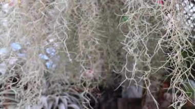 Yaz 1 'de park bahçesi yenileniyor, stok görüntüleri