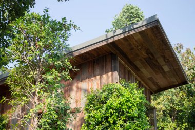 Açık hava bahçe rahatlama yeşil kafe, stok fotoğrafı.