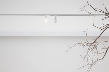 Kafede süslenmiş ağaç dalları, stok fotoğrafı.