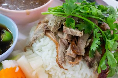 Soslu kızarmış ördek, stok fotoğrafı.