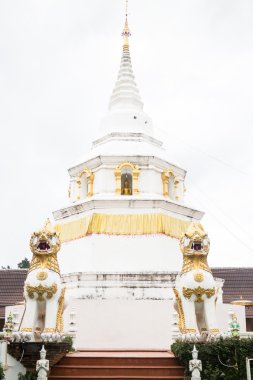 güzel beyaz pagoda Tapınağı