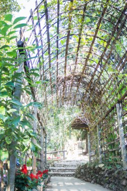 Basit açık bambu arch Bahçe içine