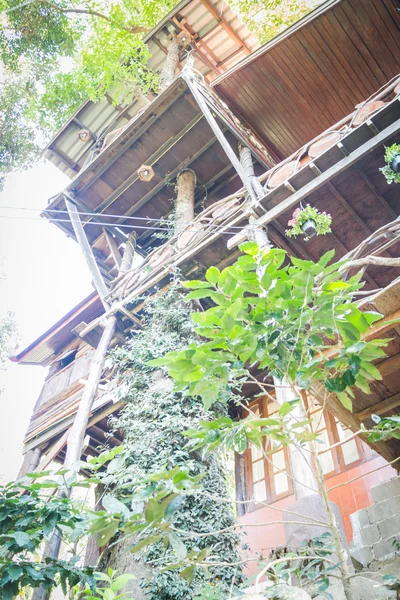 Tropikalny drewniany domek na drzewie w kurorcie — Zdjęcie stockowe