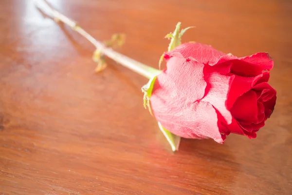 Mooie rode roos op houten achtergrond — Stockfoto